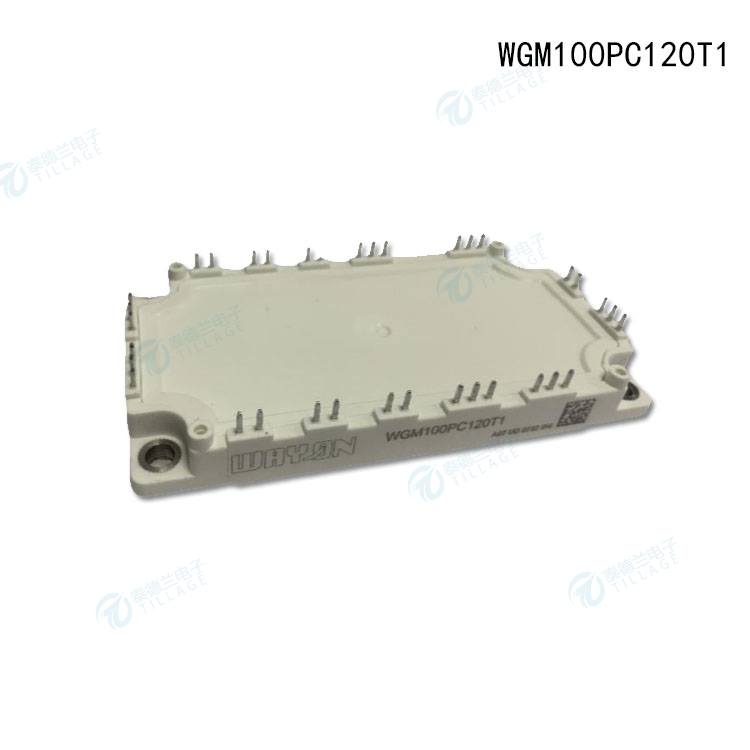 WGM100PC120T1